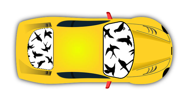 Auto mit aufgeklebten Vogelsilhouetten