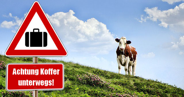 Warnschilder sollen Kühe auf Gefahr durch immer mehr Koffer hinweisen