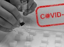 Jetzt auch Covid-Schluckimpfung: Impfbereitschaft exorbitant gestiegen